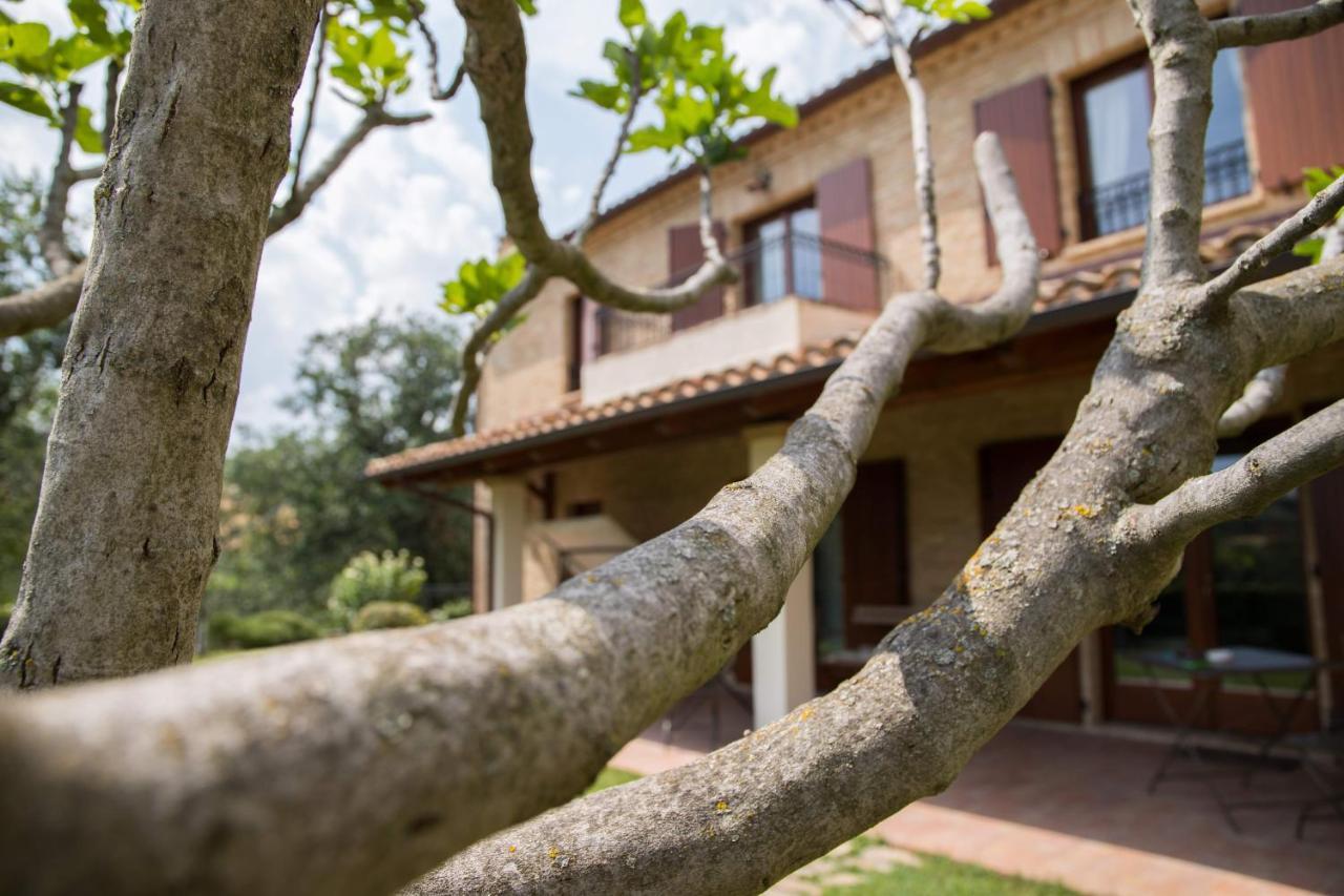 Casa Di Mi Bed & Breakfast Serrungarina Luaran gambar